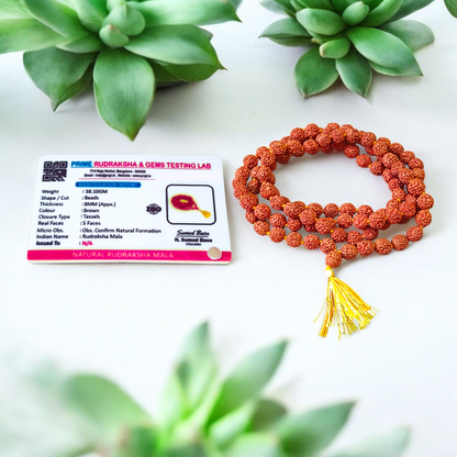 Combo of Lab Certified 5 Mukhi Rudraksha Mala, Red Pooja Aasan, and Gomukhi Bag for Meditation and Japa