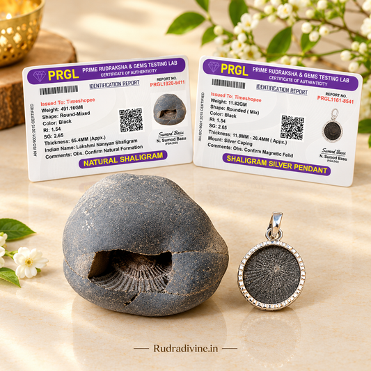 Combo of Laxmi Narayan Shaligram and wearable Shaligram Pendant – lab-certified, ideal for puja, rituals, and spiritual protection