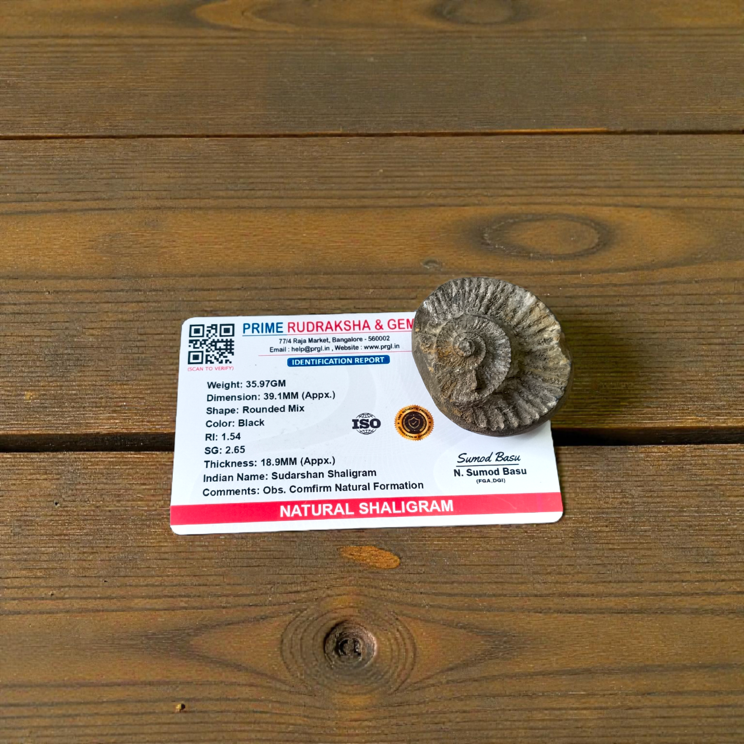 Combo of Sudarshan Shaligram and Shaligram Pendant – lab-certified spiritual set for meditation, puja, and divine protection