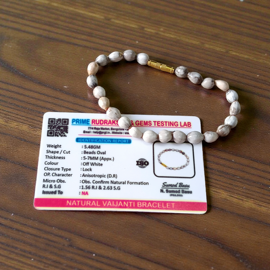 Combo of Vaijanti and Kamal Gutta Bracelets – lab certified, stretchable sacred seed bracelets for devotion and abundance