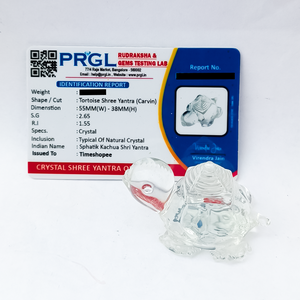 38 g (6cm)