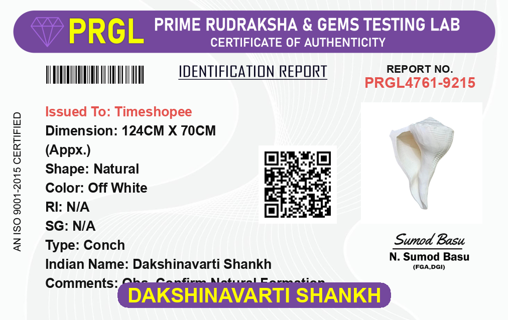 Dakshinavarti Shankh | Free Stand Inside | Valampuri Sangu | Lab Certified | Timeshopee