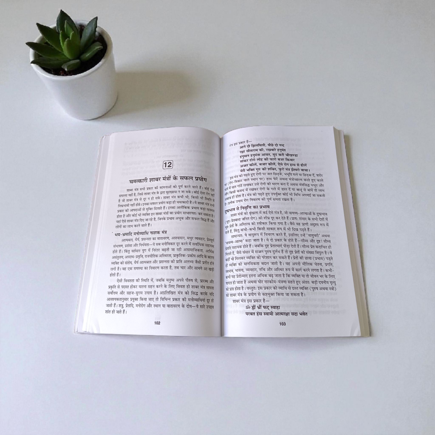 Durlab Shabar Mantro Ka Rahasya In Hindi Book – Spiritual Guide for Seekers and Mantra Practitioners