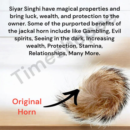 Energized Siyar Singhi Male-Female Pair Lab Certified