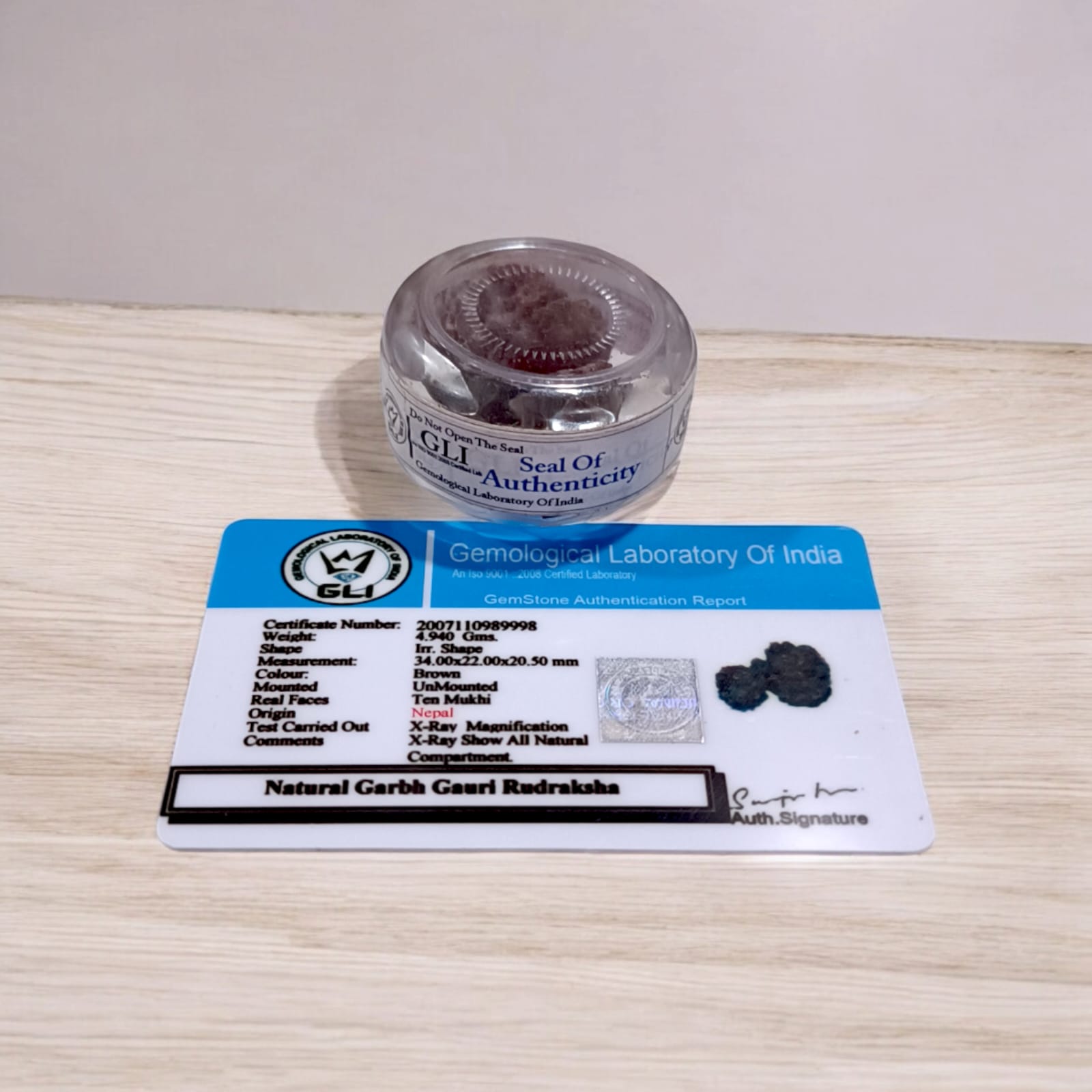 Garbh Gauri Rudraksha with divine characteristics, lab certified by Timeshopee