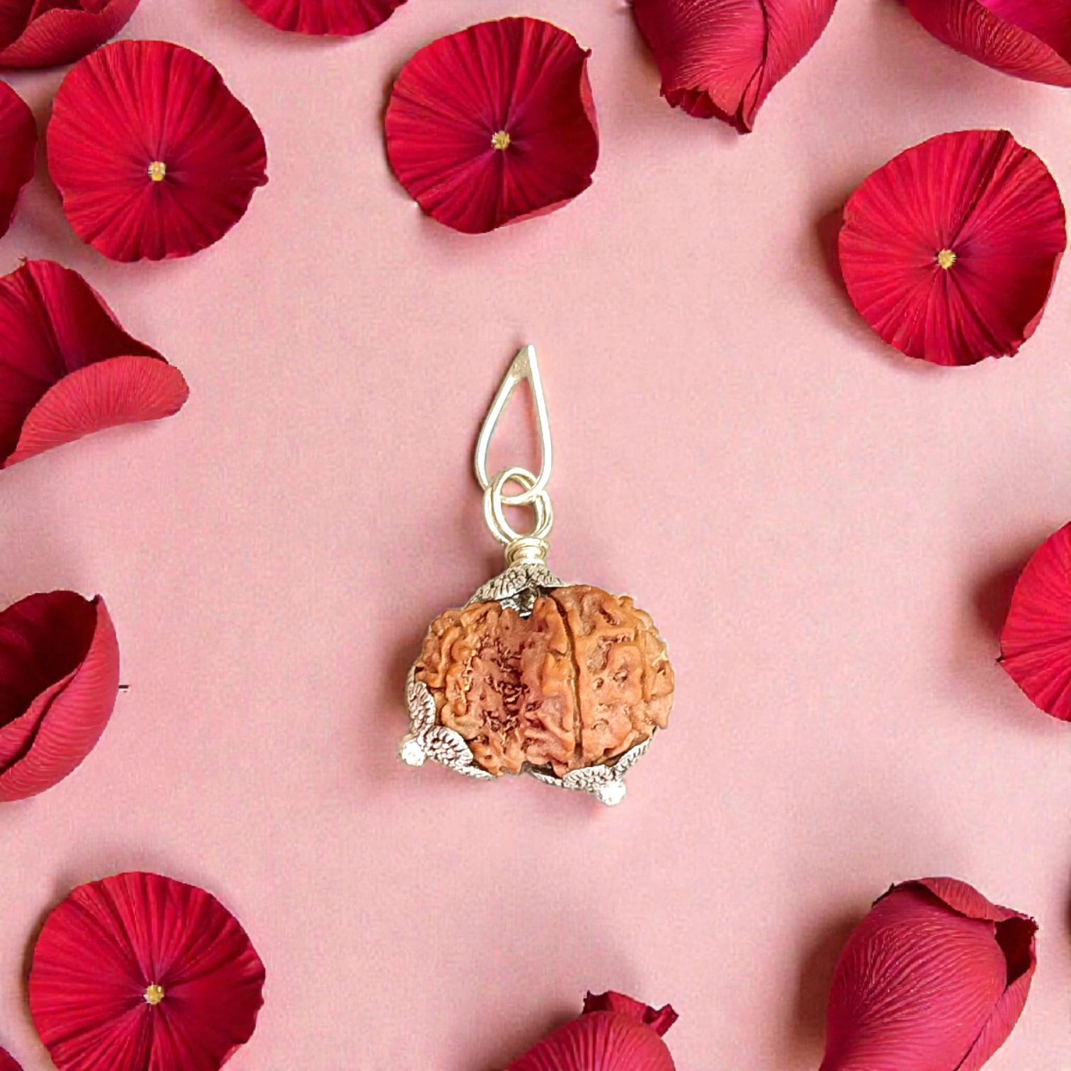 Garbh Gauri Rudraksha with divine characteristics, lab certified by Timeshopee