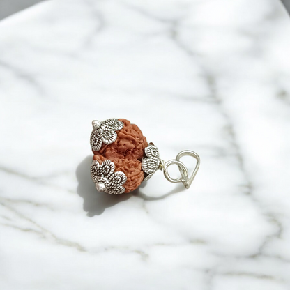 Garbh Gauri Rudraksha with divine characteristics, lab certified by Timeshopee