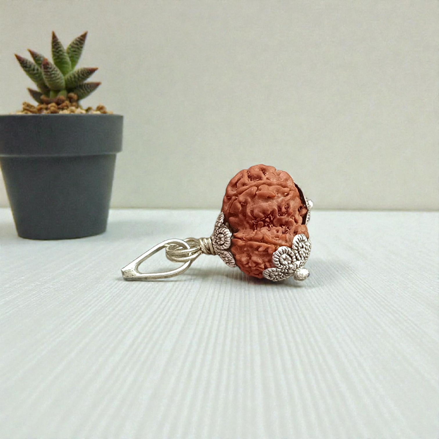 Garbh Gauri Rudraksha with divine characteristics, lab certified by Timeshopee