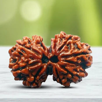 Gauri Shankar Rudraksha, lab certified, spiritual bead, Timeshopee