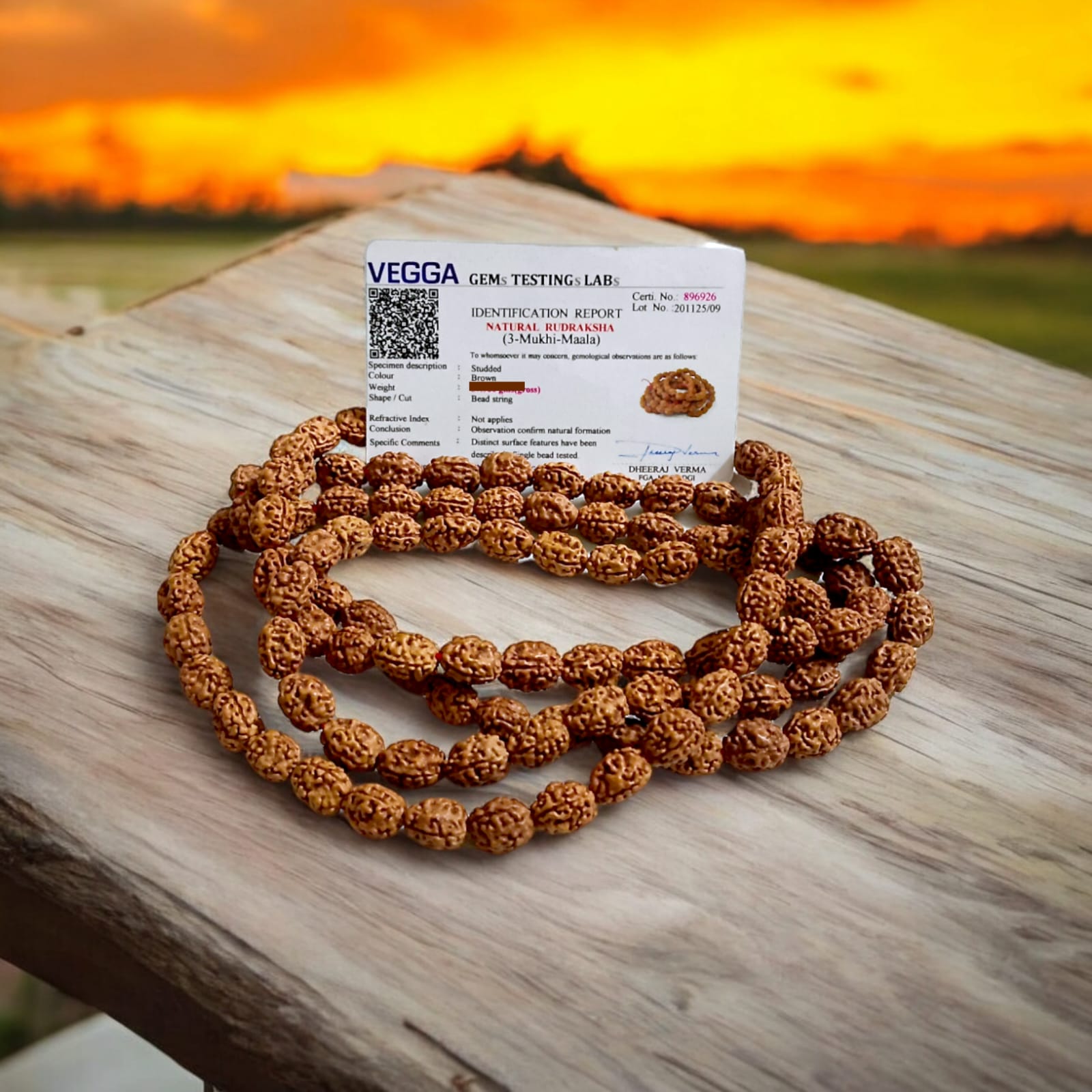 High-quality image of 3 Mukhi Rudraksha Mala in 27+1 and 108+1 bead variants, handcrafted and spiritually energized, displayed with a clean spiritual background.

