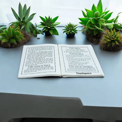 Hindi book Shani Upasana with hidden information about Shani Dev, showcasing rituals and mantras.