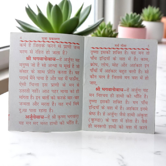 Garbh Gita Hindi Book | Spiritual Wisdom & Life Lessons – Timeshopee