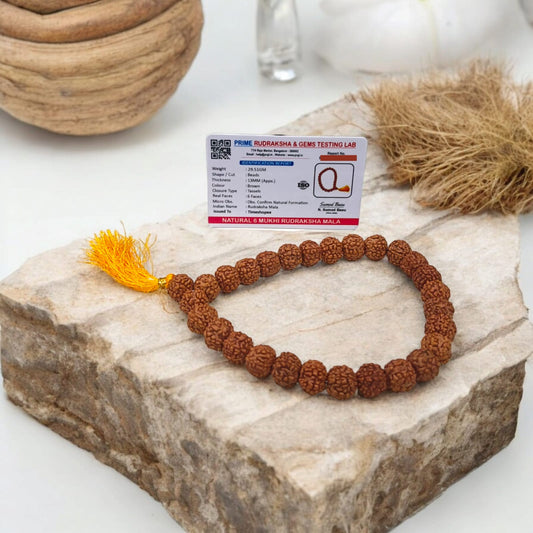 Image of a Lab Certified 6 Mukhi Rudraksha Mala from Timeshopee, available in 27+1 and 108+1 bead variants, used for meditation and spiritual purposes.