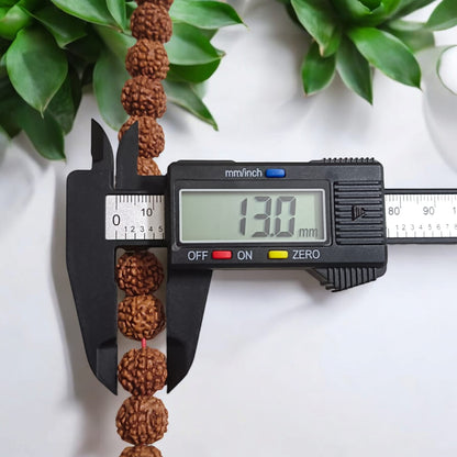 Image of a Lab Certified 6 Mukhi Rudraksha Mala from Timeshopee, available in 27+1 and 108+1 bead variants, used for meditation and spiritual purposes.