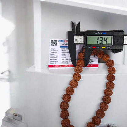 Image of a Lab Certified 6 Mukhi Rudraksha Mala from Timeshopee, available in 27+1 and 108+1 bead variants, used for meditation and spiritual purposes.