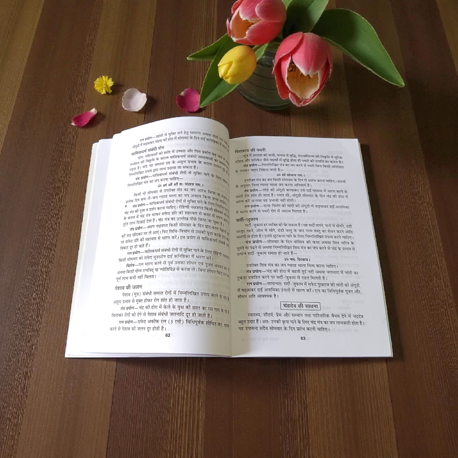 Image of the book “Navgrah Peera Se Mukti In Hindi,” showing its sacred cover with illustrations of nine planets, ideal for astrology and spiritual seekers