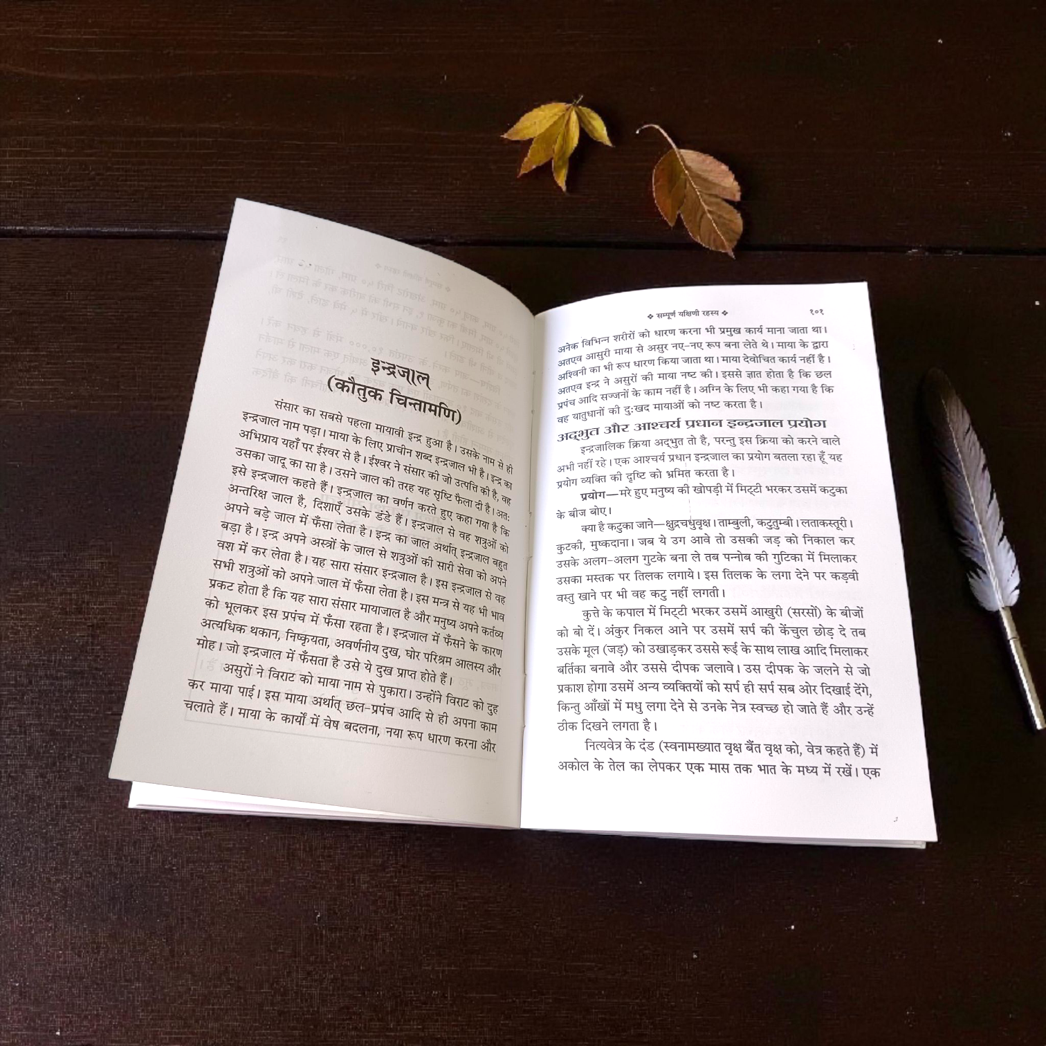 Image of the book “Sampoorna Yakshini Rahasya 64 Yogini Sadhana In Hindi” showing its sacred cover featuring divine Yakshinis and Yoginis, ideal for spiritual and tantric practitioners.