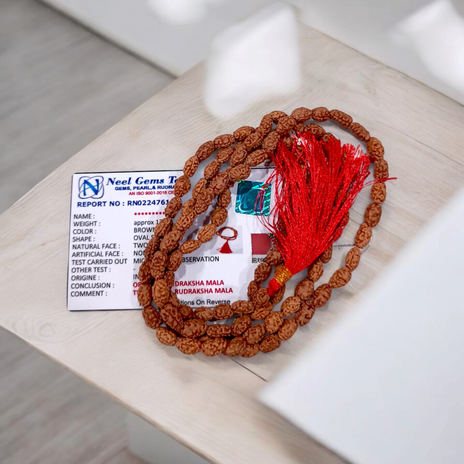 Image showing a hand-crafted 2 Mukhi Rudraksha Mala in 108+1 bead variant, lab certified and neatly arranged on a traditional cloth background with Timeshopee tag.