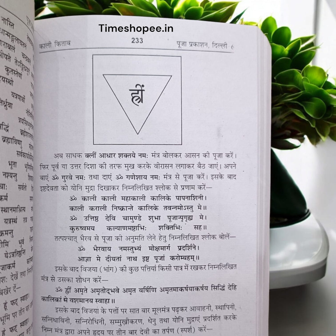 Kaali Kitab – Hindi Spiritual Guide for Kali Pooja – Timeshopee