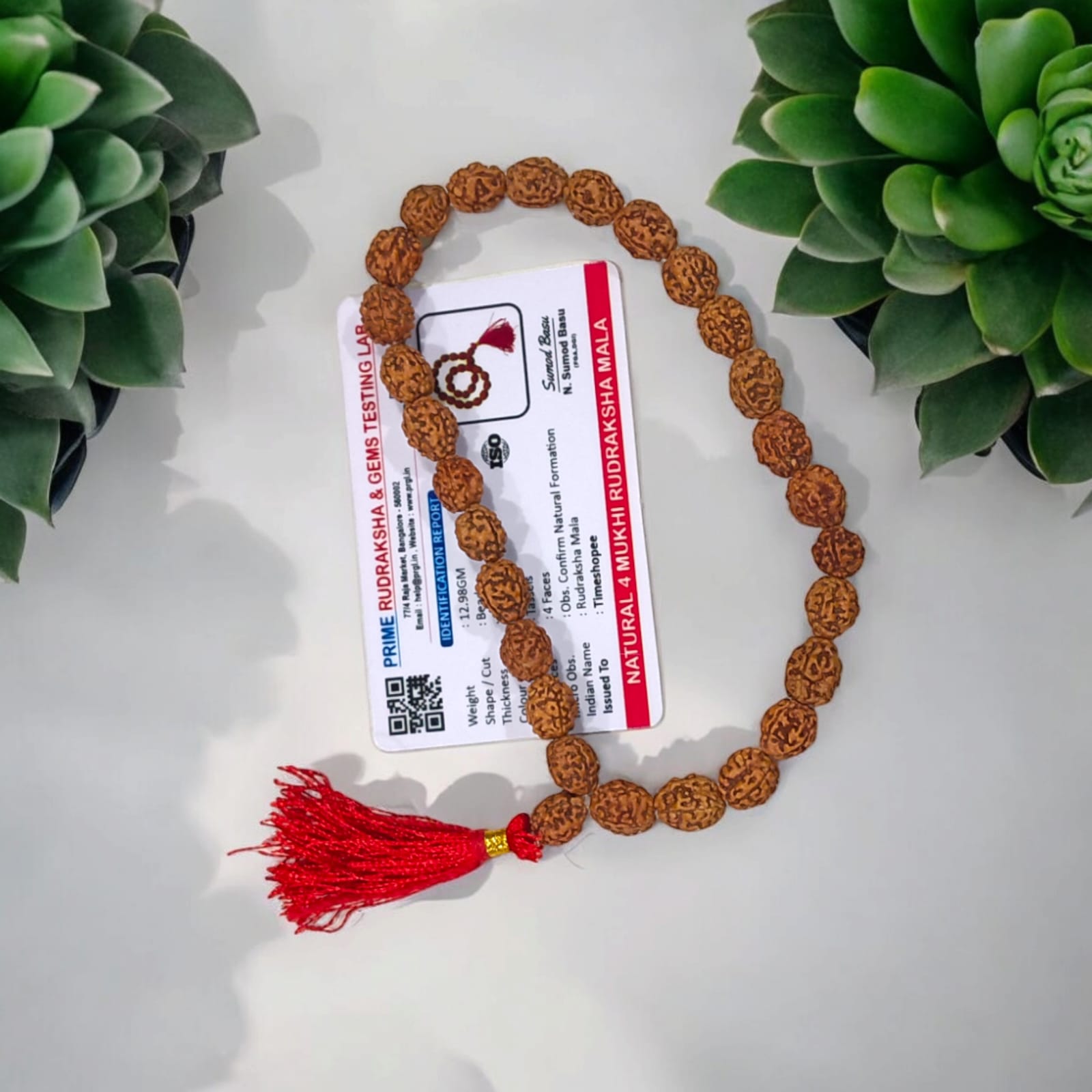 Lab-certified 4 Mukhi Rudraksha Mala with 27+1 natural 10MM beads for enhancing knowledge and wisdom.