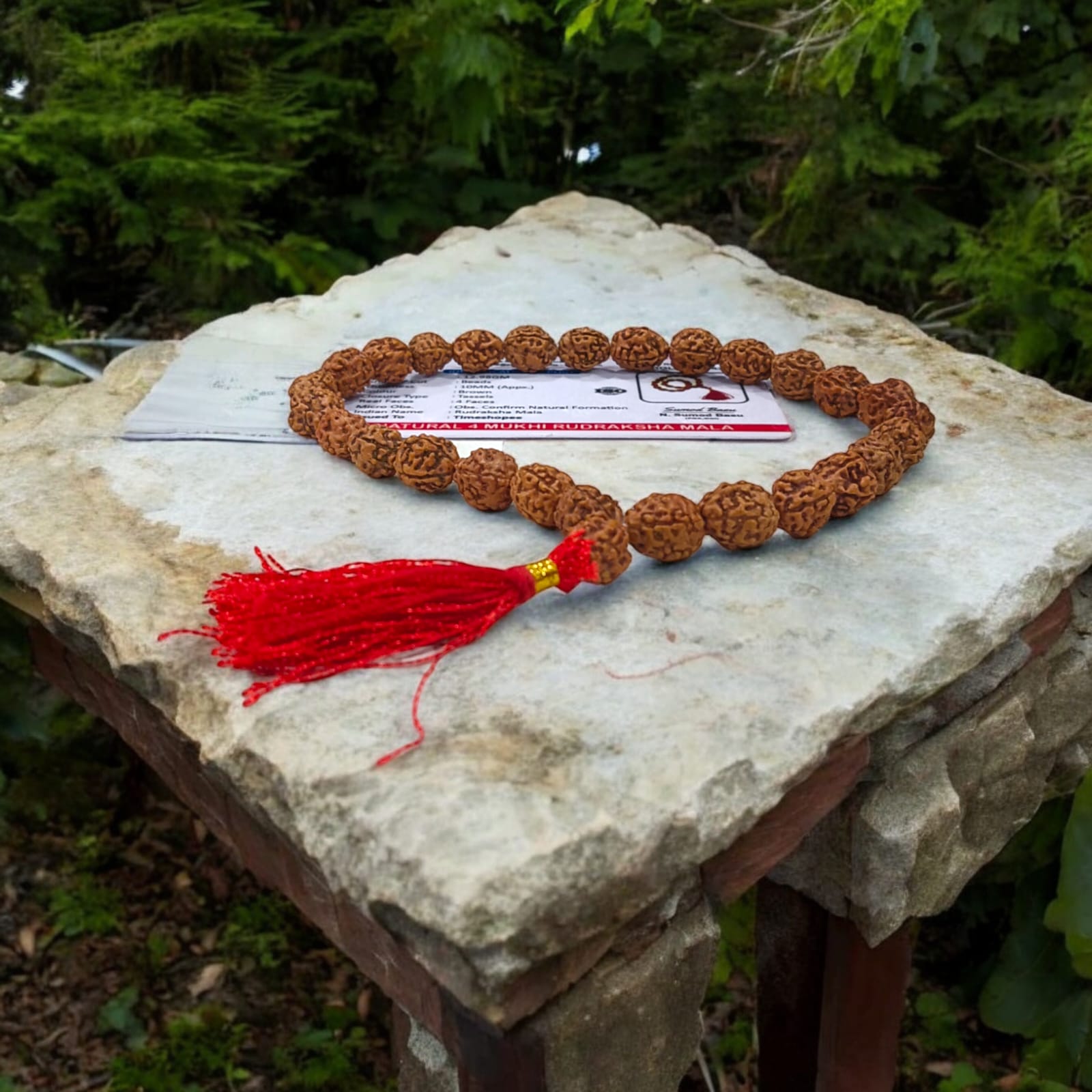 Lab-certified 4 Mukhi Rudraksha Mala with 27+1 natural 10MM beads for enhancing knowledge and wisdom.