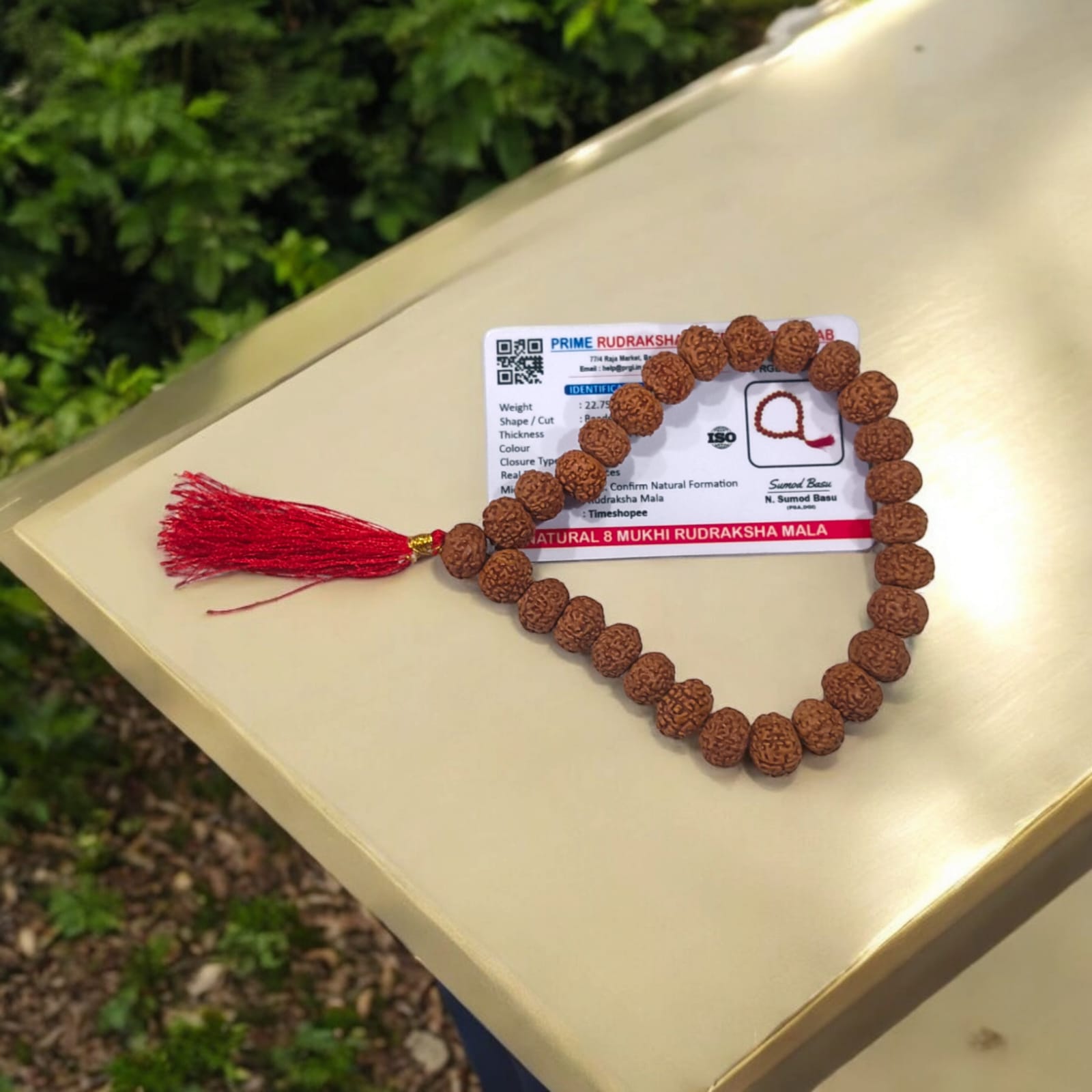 Lab-certified 8 Mukhi Rudraksha Mala with 27+1 natural 12MM beads for success, focus, and spiritual growth.