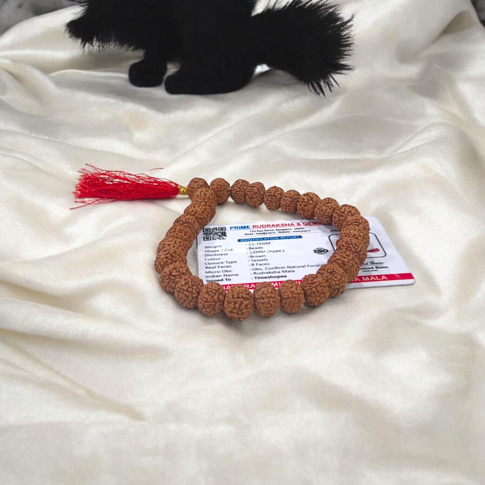Lab-certified 8 Mukhi Rudraksha Mala with 27+1 natural 12MM beads for success, focus, and spiritual growth.