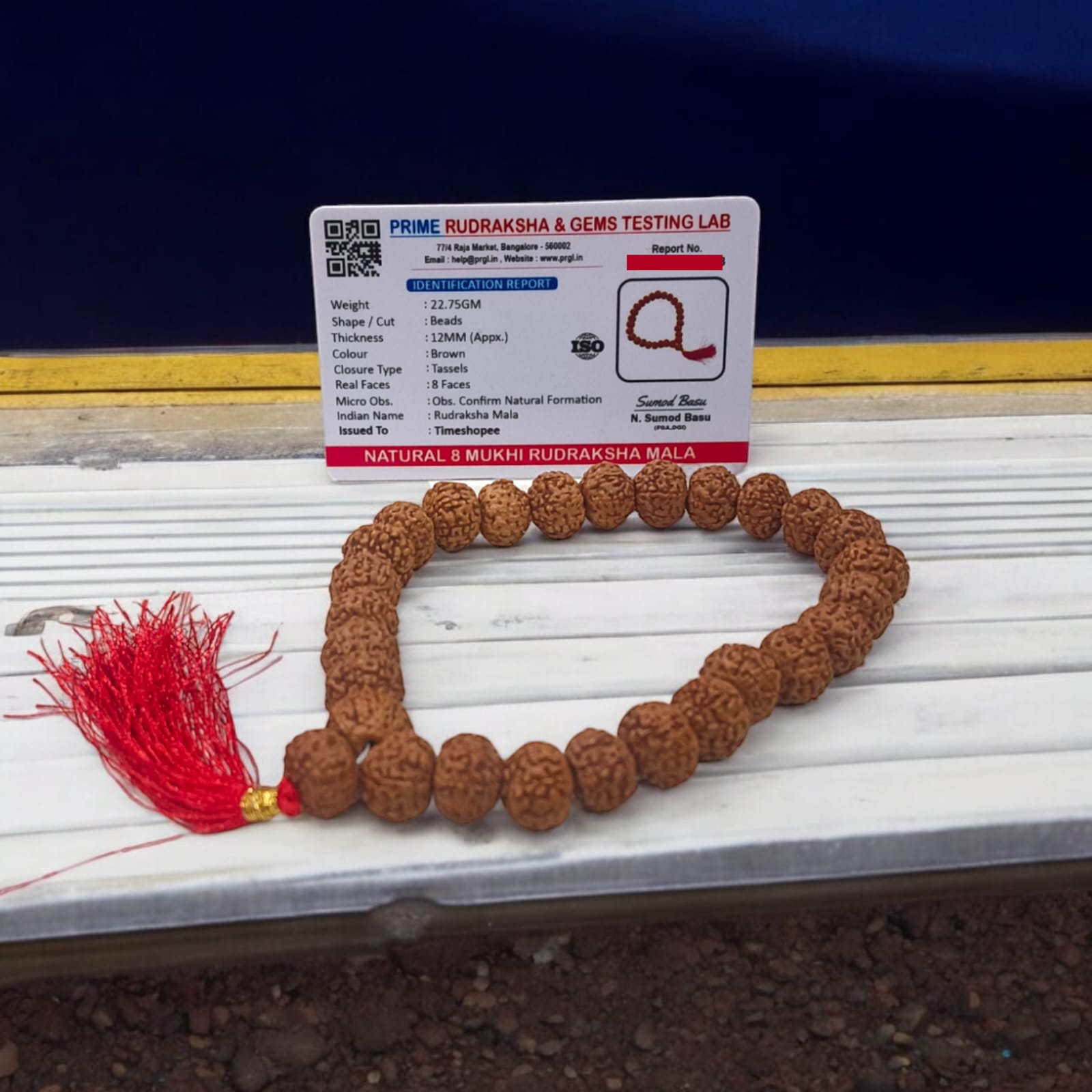 Lab-certified 8 Mukhi Rudraksha Mala with 27+1 natural 12MM beads for success, focus, and spiritual growth.