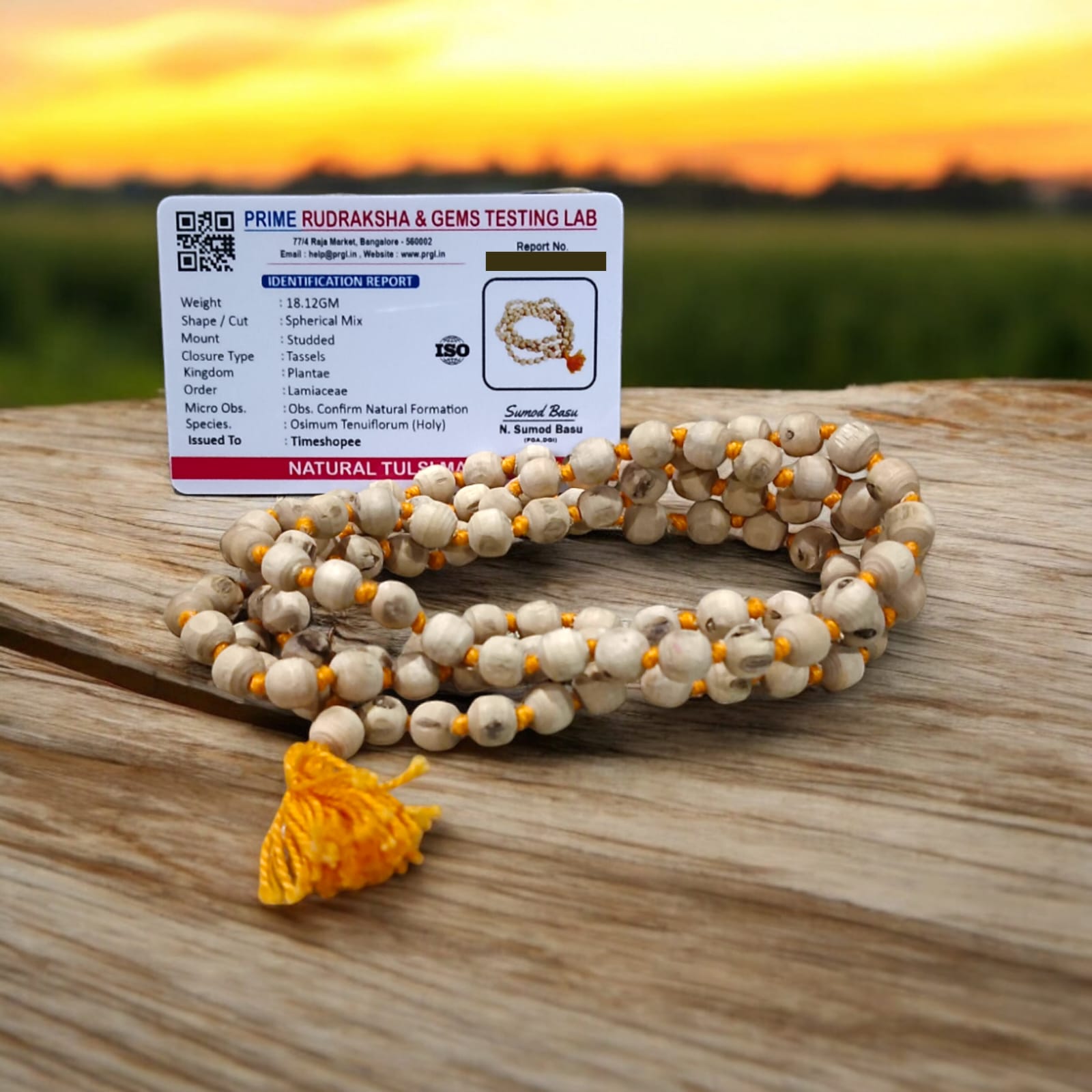 Lab-certified Tulsi Mala with 108+1 beads, used for meditation and spiritual practices, featuring traditional and sacred Tulsi beads.