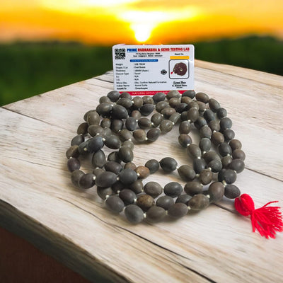 Kamal Gutta Mala | Lotus Seed Mala 108+1 Beads | Lab Certified – Timeshopee