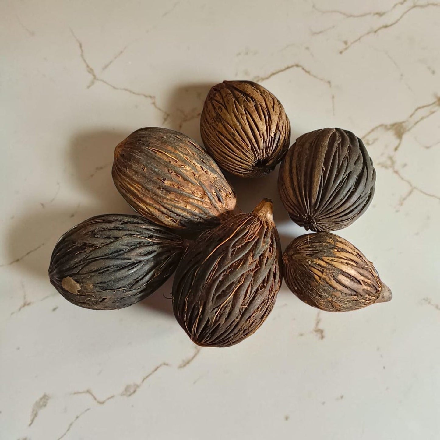Lakshmi Nariyal Puja Coconut Tantrokt Nariyal for Lakshmi Puja and Protection