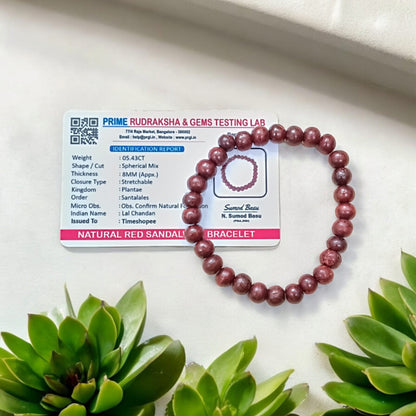 Lal Chandan Bracelet | Lab Certified Red Sandalwood