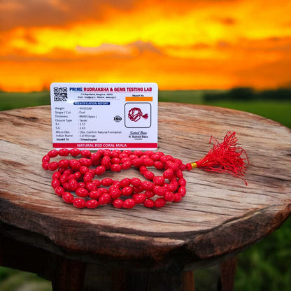 Lal Moonga Mala | Red Coral Mala Lab Certified By Timeshopee