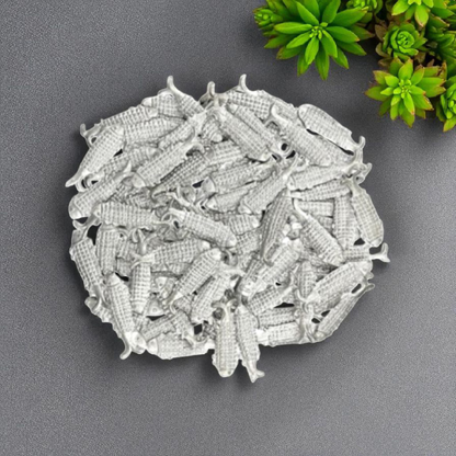 Lead Fish for Remedies - Ranga Fish for Lal Kitab Remedies by Timeshopee