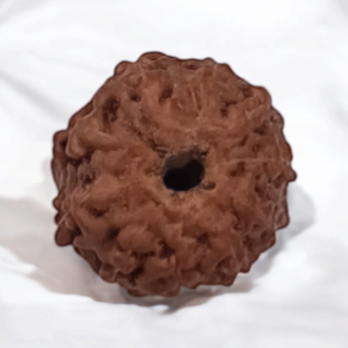Natural 10 Mukhi Rudraksha Lab Certified Sacred Bead for Protection Peace Spiritual Growth Timeshopee