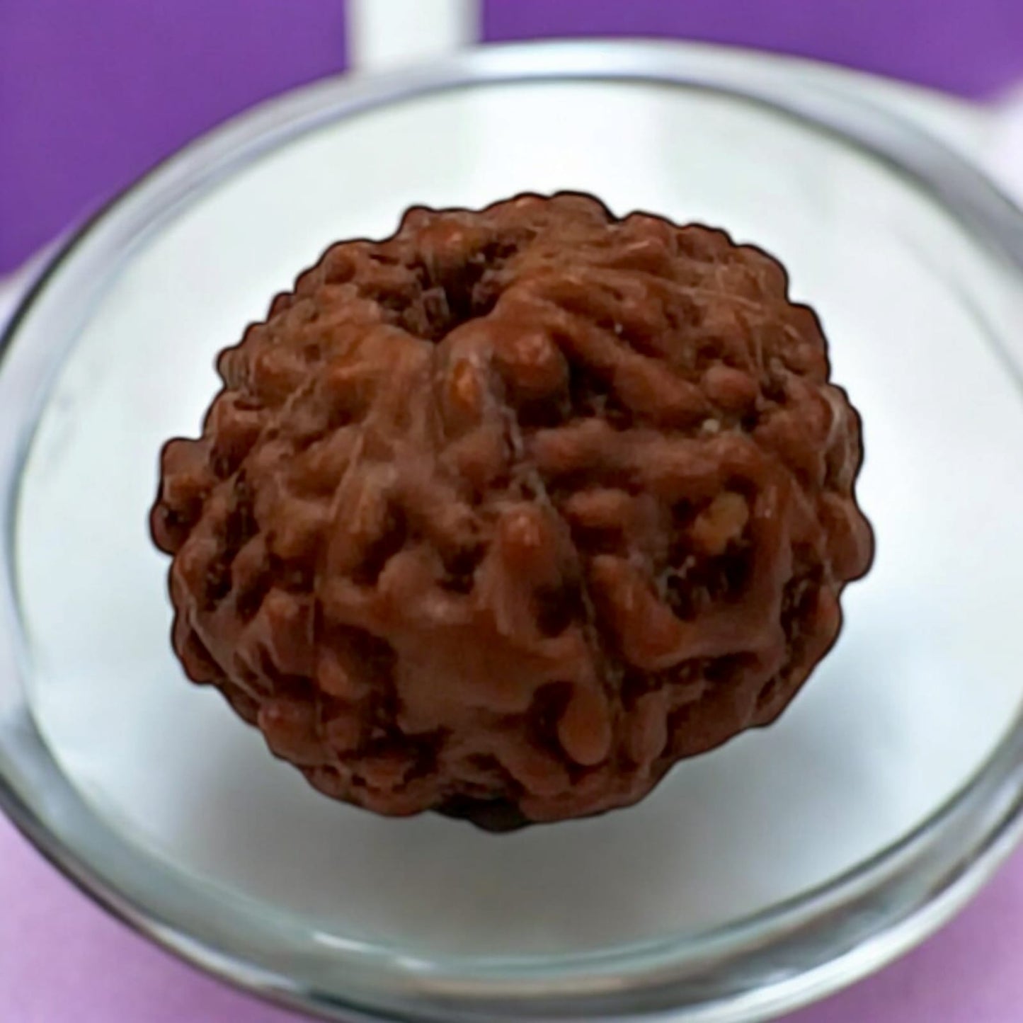 Natural 10 Mukhi Rudraksha Lab Certified Sacred Bead for Protection Peace Spiritual Growth Timeshopee