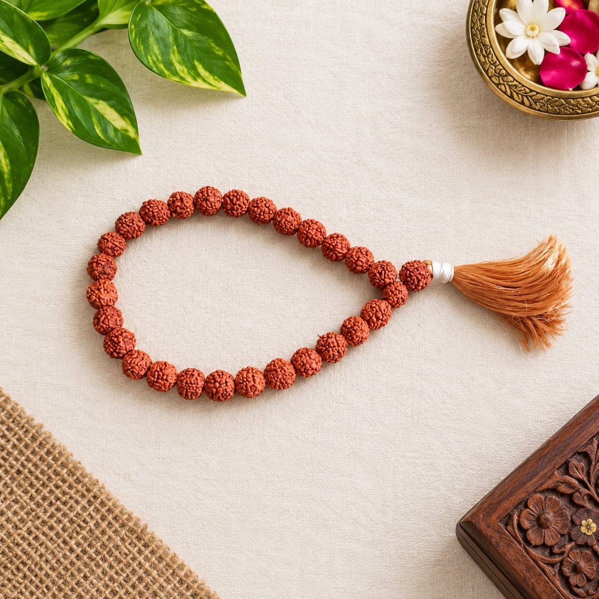 Natural 5 Mukhi Rudraksha Mala 27+1 Beads 8mm Lab Certified for Meditation