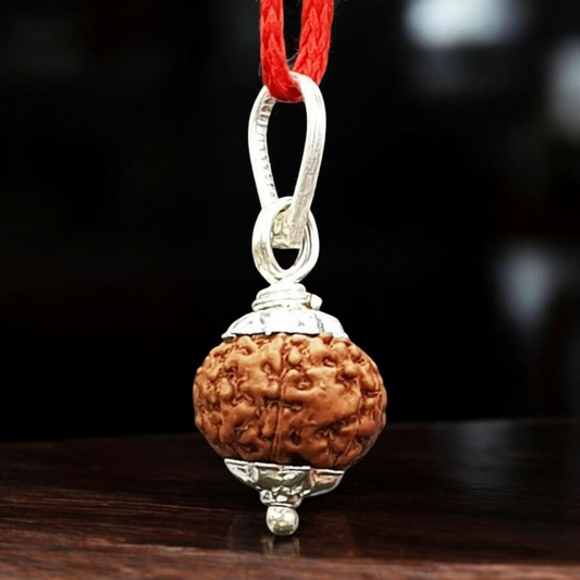 Natural 8 Mukhi Rudraksha Locket with silver capping displayed with certification from Timeshopee