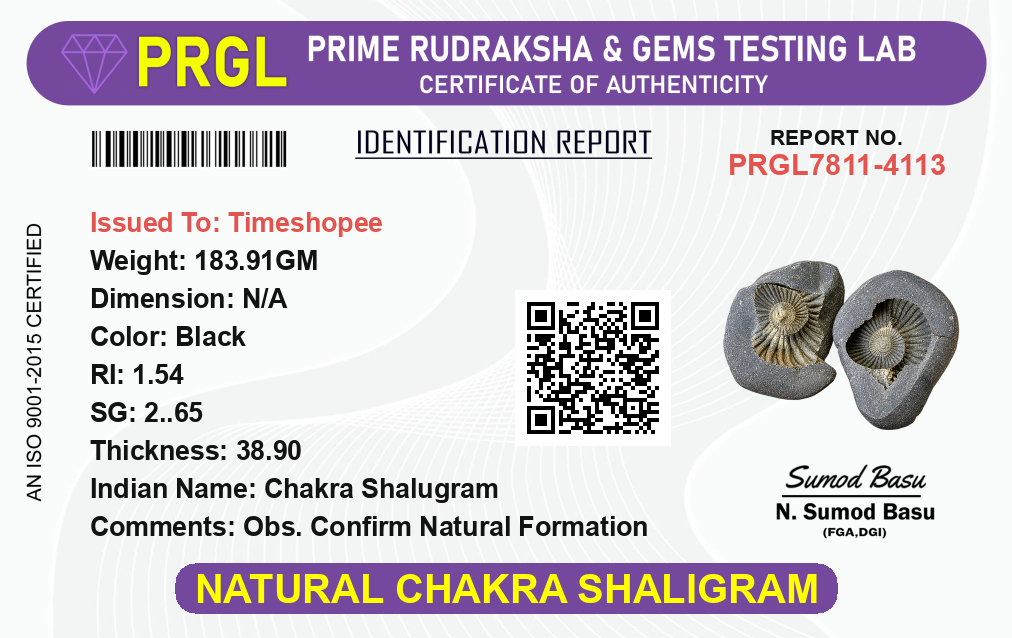 Natural Chakra Shaligram stone with visible sacred chakra markings placed in a traditional worship setting