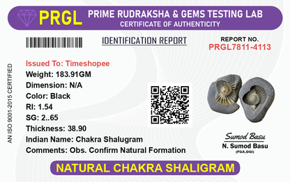 Natural Chakra Shaligram stone with visible sacred chakra markings placed in a traditional worship setting