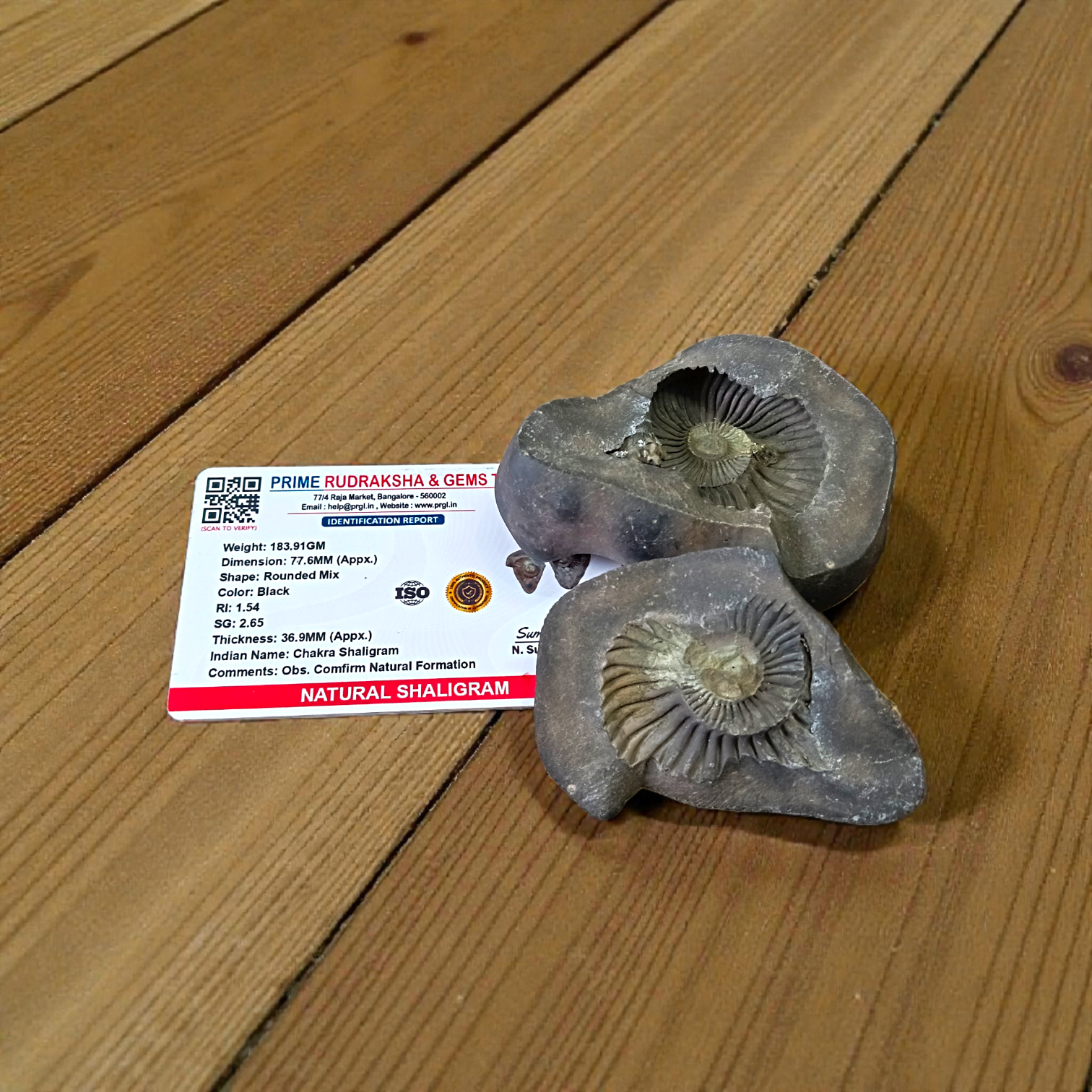 Natural Chakra Shaligram stone with visible sacred chakra markings placed in a traditional worship setting