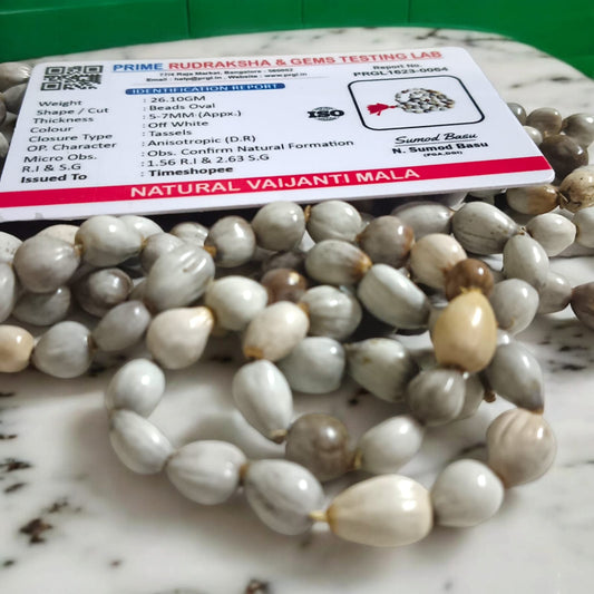 Natural Vaijanti Mala with Lab Certificate displayed in a pouch.