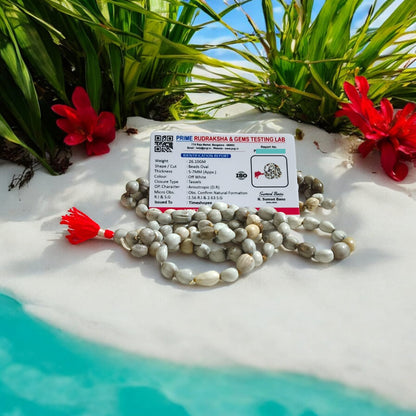 Natural Vaijanti Mala with Lab Certificate displayed in a pouch.