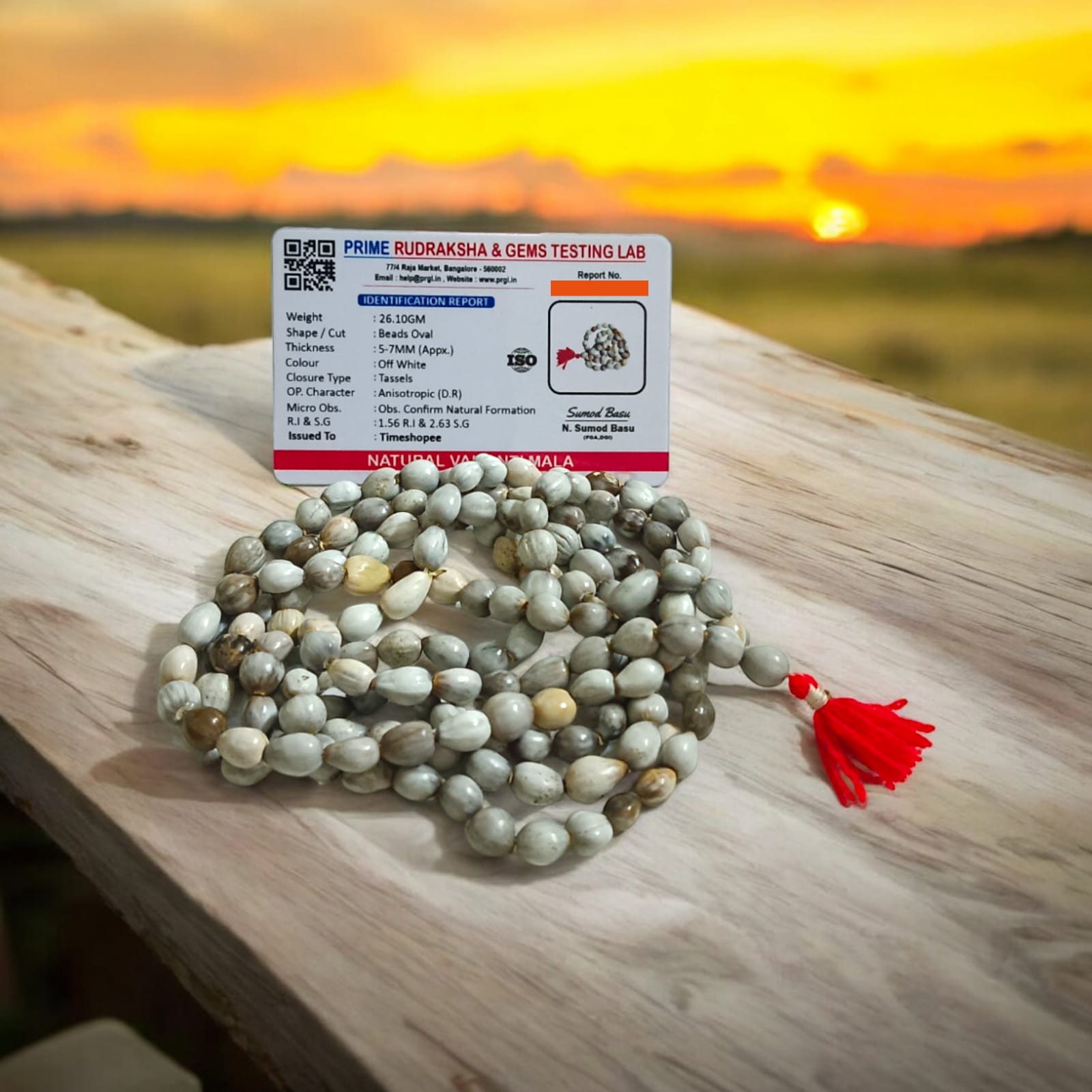 Natural Vaijanti Mala with Lab Certificate displayed in a pouch.