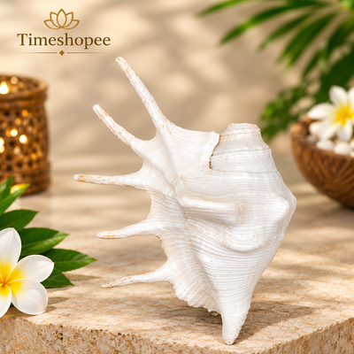 Panchmukhi Shankh | Lab Certified | Loud Blowing Shankh for Pooja – Timeshopee