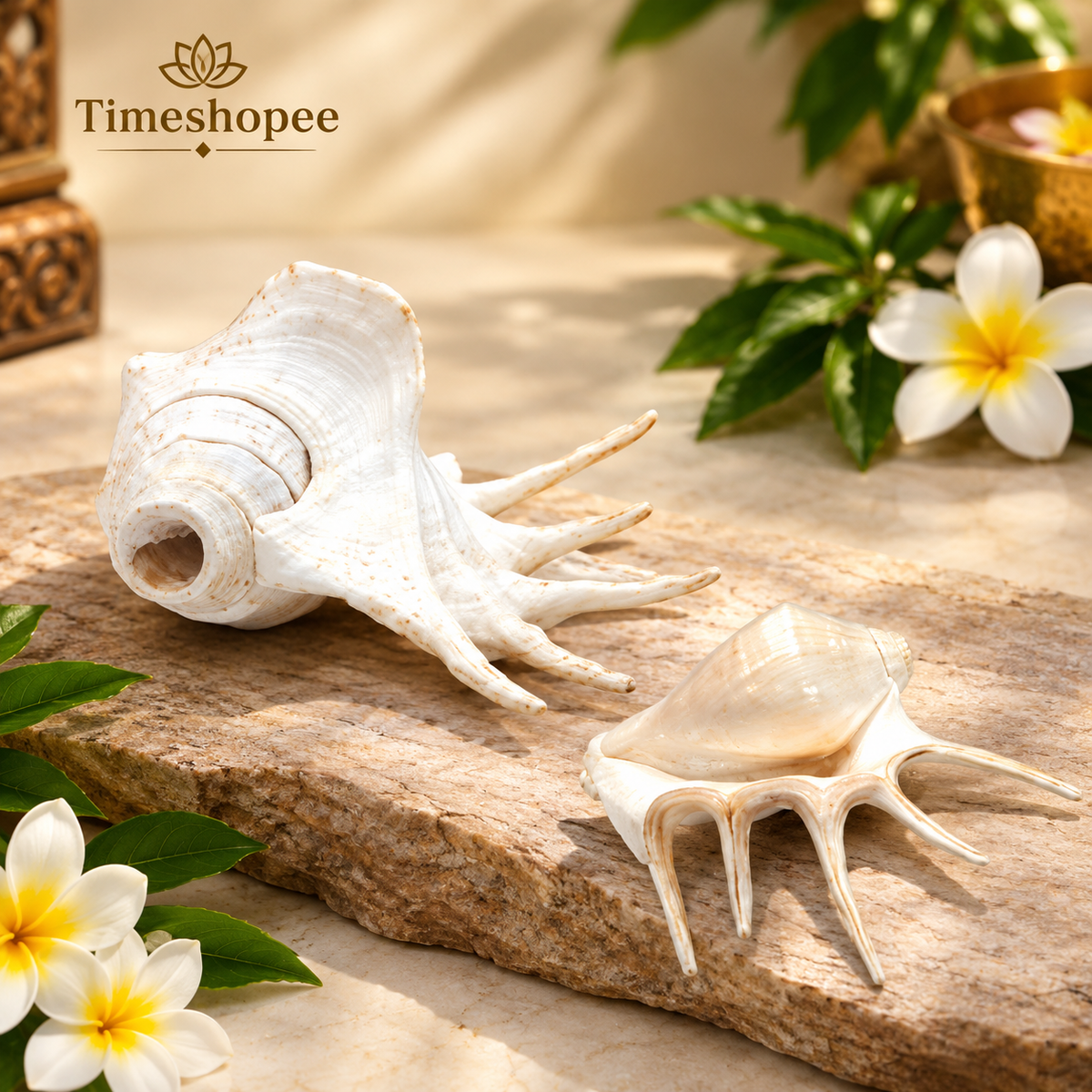 Panchmukhi Shankh, lab certified, with a natural finish, designed for loud blowing during pooja and religious ceremonies.