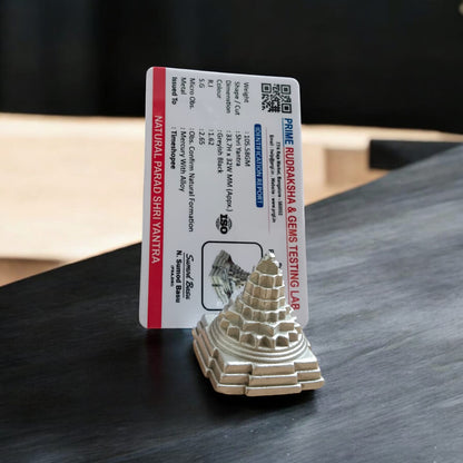 Parad Shri Yantra - 100% Genuine Meru Yantra, Lab Certified, from Timeshopee. A sacred geometric structure crafted from pure mercury for prosperity, energy balance, and spiritual growth