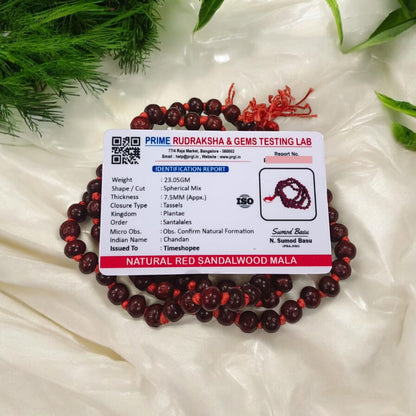 [Red Sandalwood Mala with 108 beads, handcrafted and lab-certified, placed on a white background]

