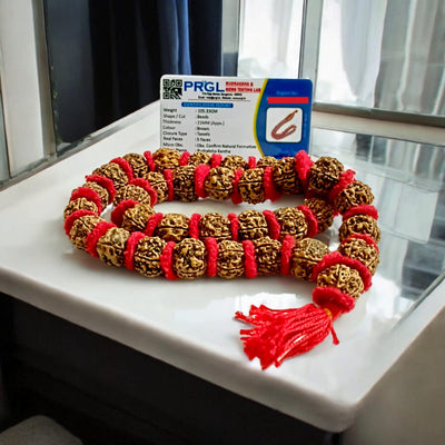 Rudraksha Kantha Mala | Lab Certified | Divine Energy & Spiritual Protection