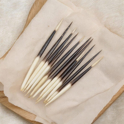 Sahi Ka Kanta | शाही का कांटा | Original & Natural Porcupine Quills – Timeshopee